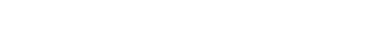 Rheinschifffahrten Wirth